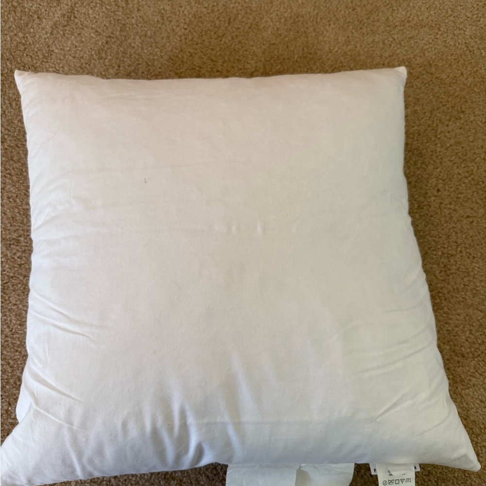 Pottery Barn- pillow insert 18x 18